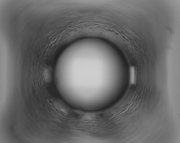 X0000113341491200909151120