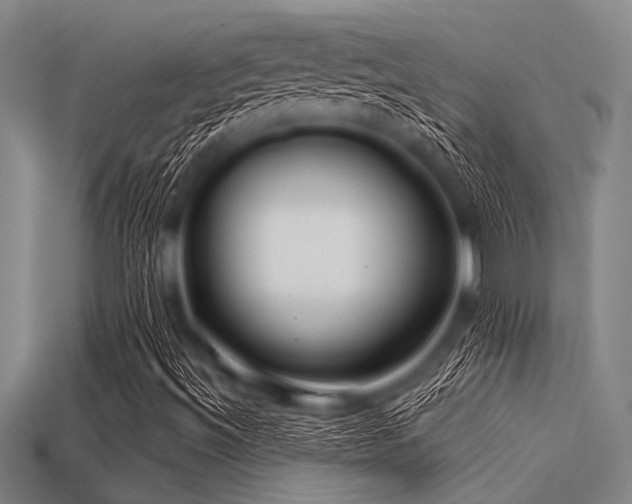 X0000113341492200909151120