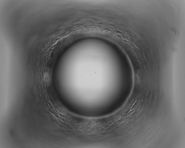 X0000113341493200909151120