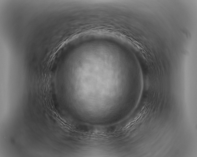 X0000113341494200909151120