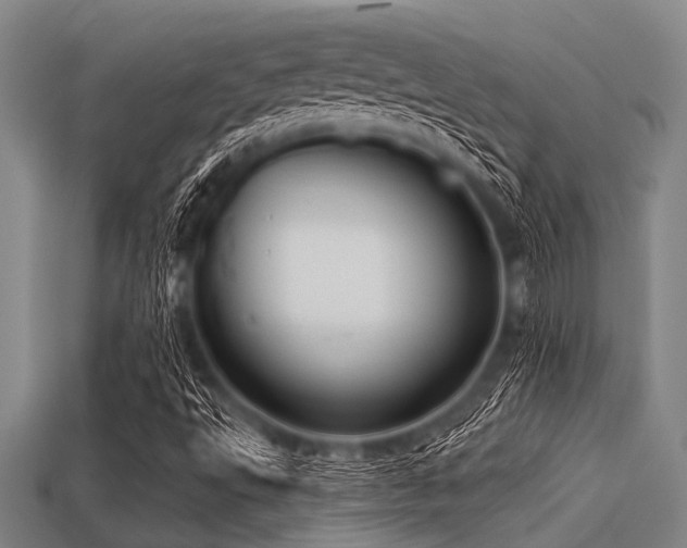 X0000113341495200909151120