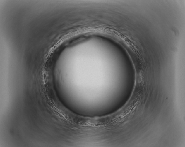 X0000113341496200909151120