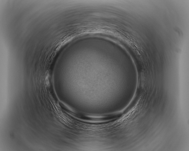 X0000113341497200909151120