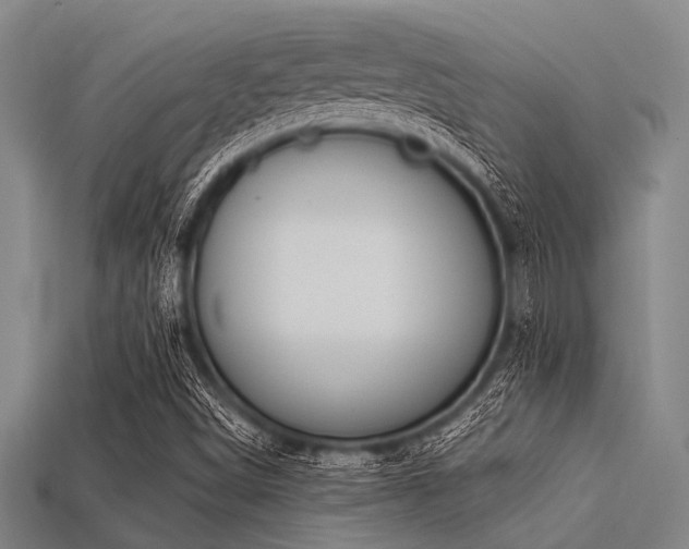 X0000113341498200909151120