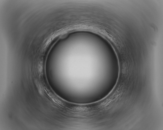 X0000113341499200909151120