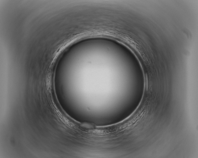 X0000113341500200909151120