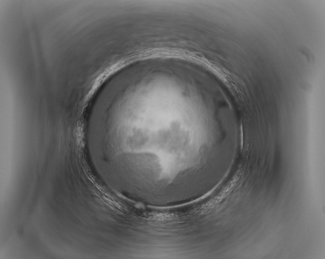 X0000113341501200909151120