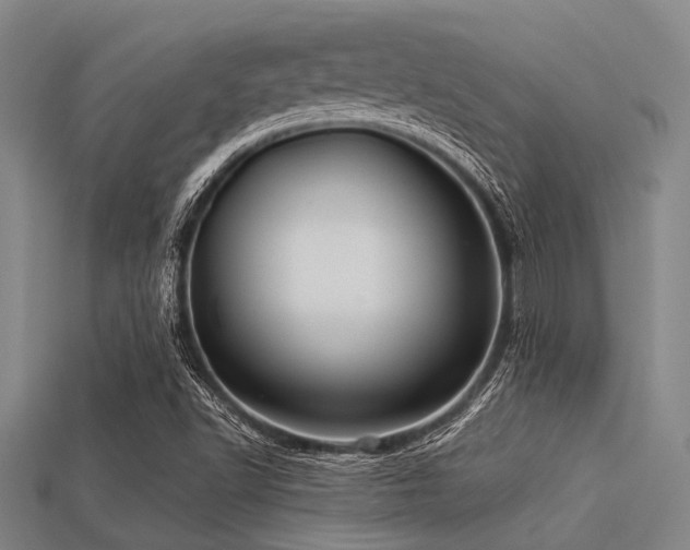 X0000113341502200909151120