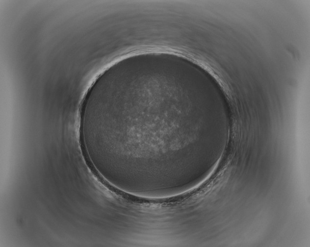 X0000113341508200909151121