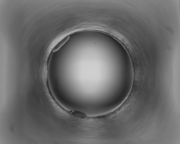 X0000113341520200909151121