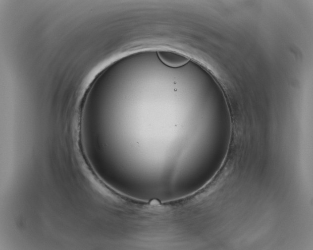 X0000113341526200909151121