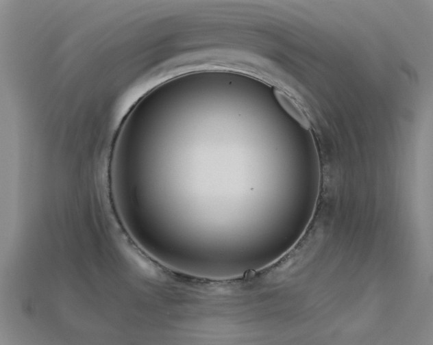 X0000113341530200909151121