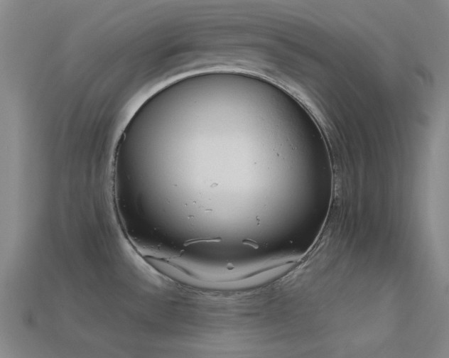 X0000113341532200909151121