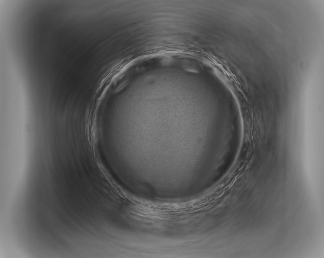 X0000113340002200909221133