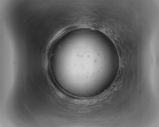 X0000113340005200909221133