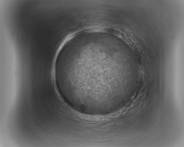 X0000113340006200909221133