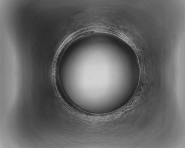 X0000113340007200909221133