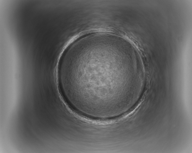 X0000113340008200909221133