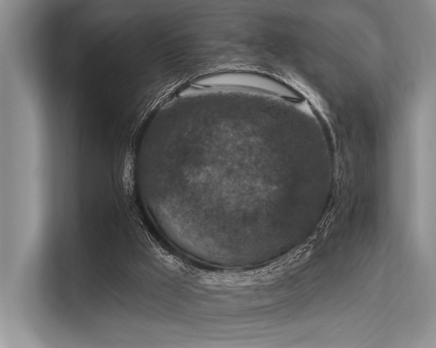 X0000113340009200909221133