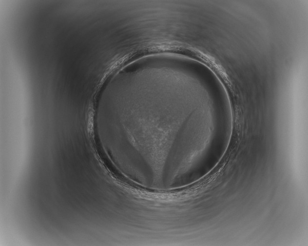 X0000113340010200909221133