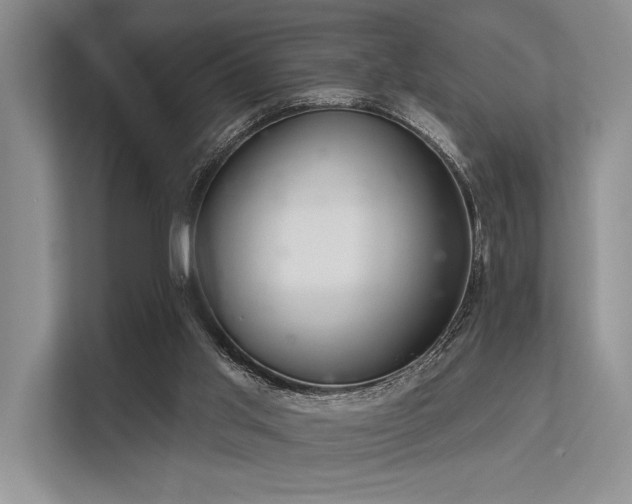 X0000113340013200909221133