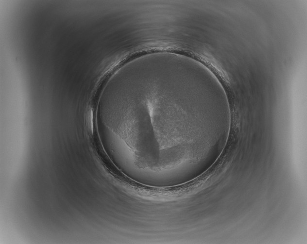 X0000113340014200909221133