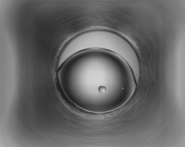 X0000113340015200909221133