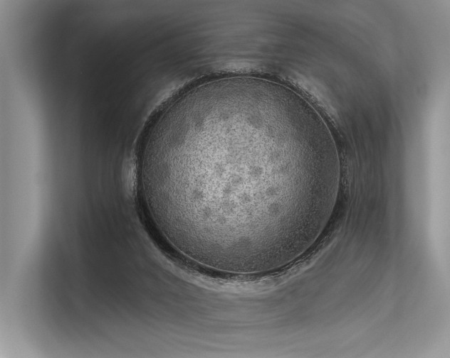 X0000113340016200909221133