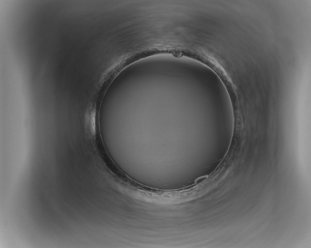 X0000113340019200909221133