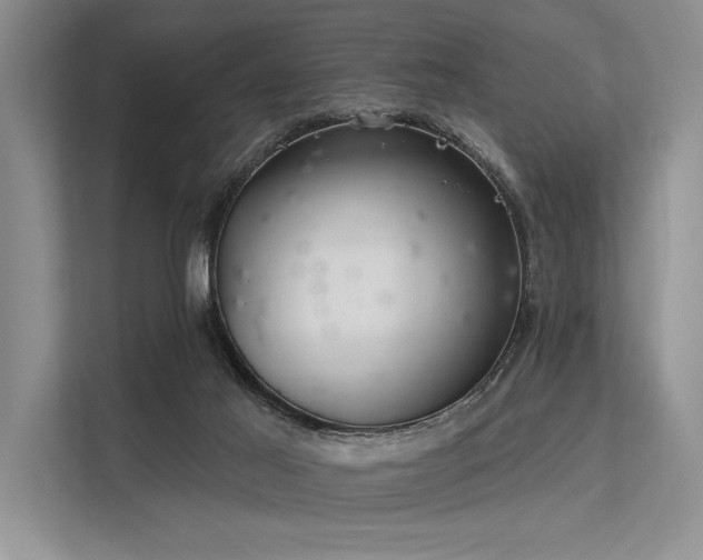 X0000113340021200909221133