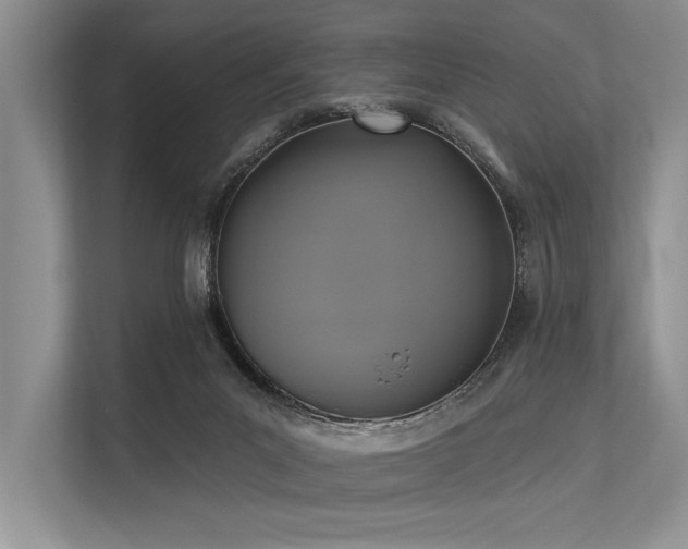 X0000113340023200909221133