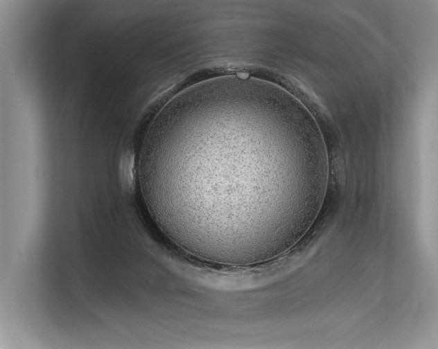 X0000113340024200909221133