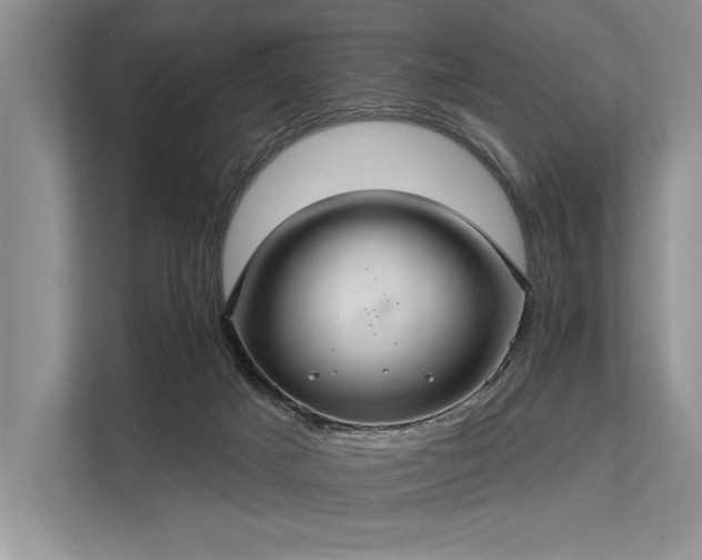 X0000113340025200909221133