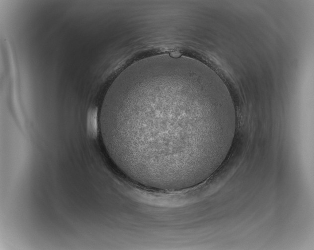 X0000113340028200909221133