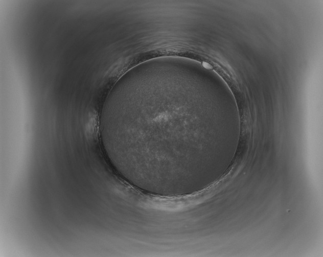 X0000113340029200909221132