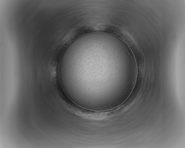 X0000113340032200909221132