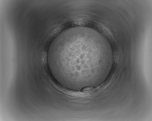 X0000113340036200909221132