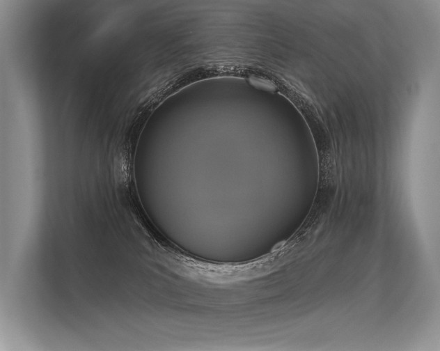 X0000113340039200909221132