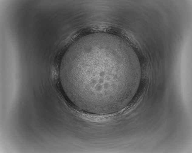 X0000113340040200909221132