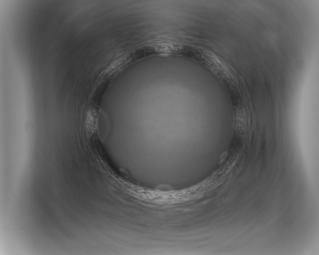 X0000113340043200909221132