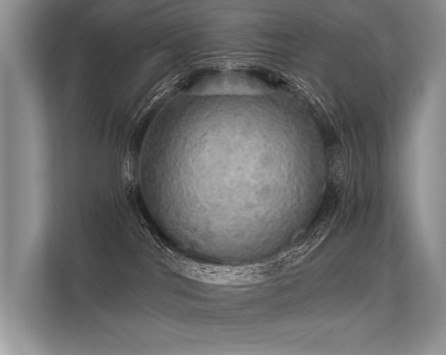 X0000113340044200909221132