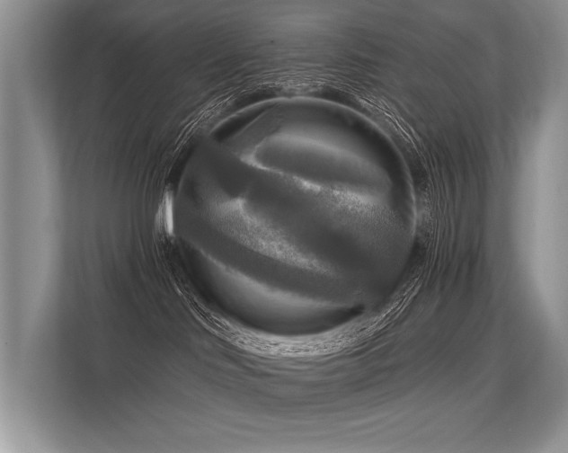 X0000113340046200909221132