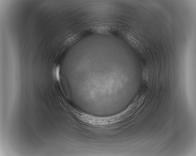 X0000113340047200909221132