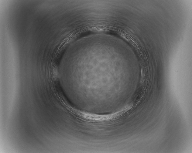 X0000113340048200909221132