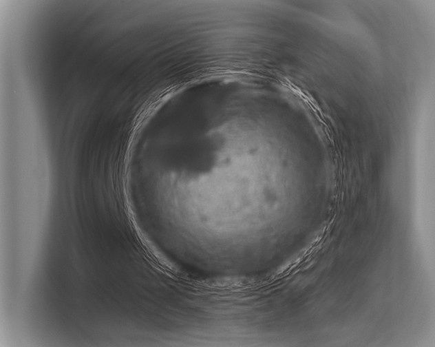 X0000113340049200909221132