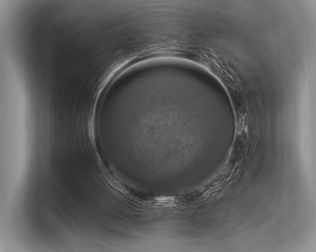 X0000113340052200909221132