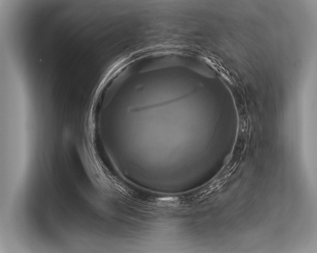 X0000113340053200909221132