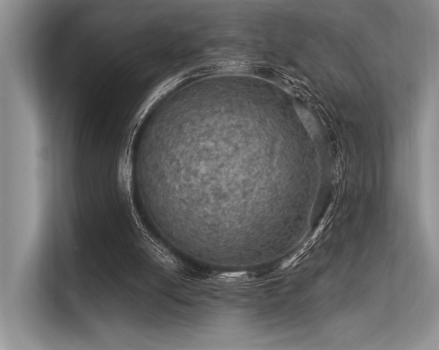 X0000113340054200909221132