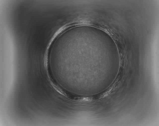 X0000113340056200909221132