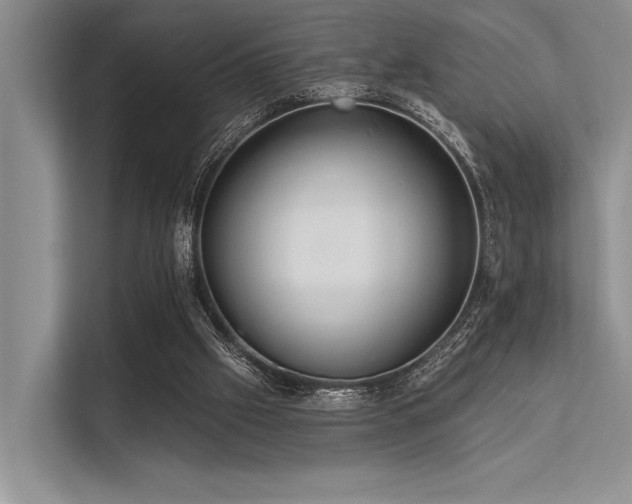 X0000113340057200909221132